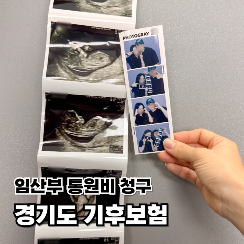 경기도 기후보험 임산부 통원비 2만 서류 간편 청구방법