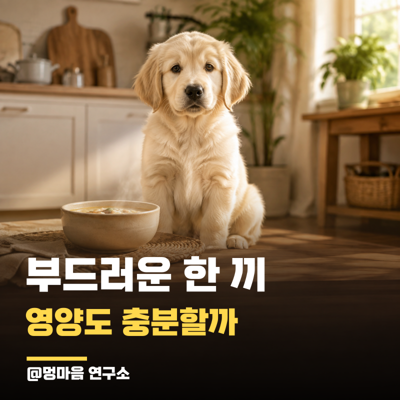 강아지 닭죽, 잘 먹는 음식과 완전한 식사는 다릅니다