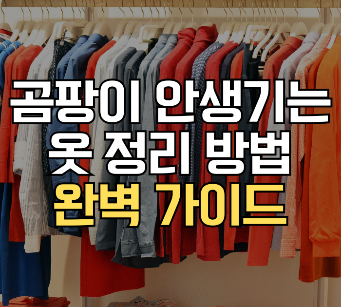 옷장 열었다가 곰팡이 냄새에 깜짝! 곰팡이 안 생기는 옷정리 방법 총정리