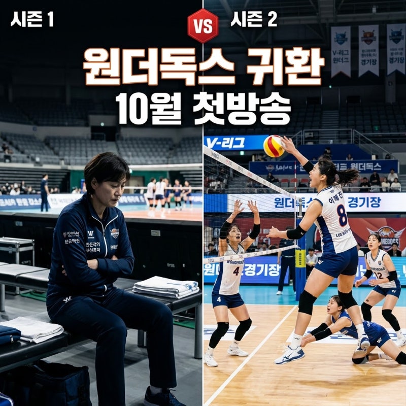 "선수 3명 프로 보내더니.." 김연경 원더독스2 10월 확정된 이유