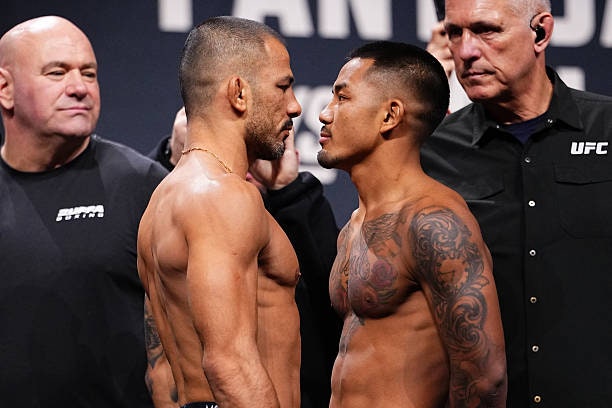 UFC 331 - 조슈아 반 vs 판토자 경기 일정