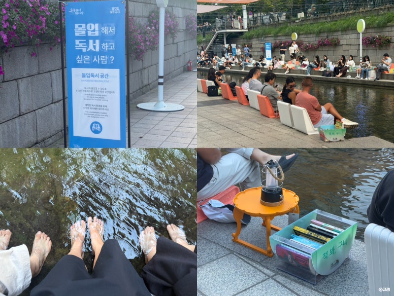 서울 청계천 야외데이트 책읽는맑은냇가 야외도서관 일정 이용방법