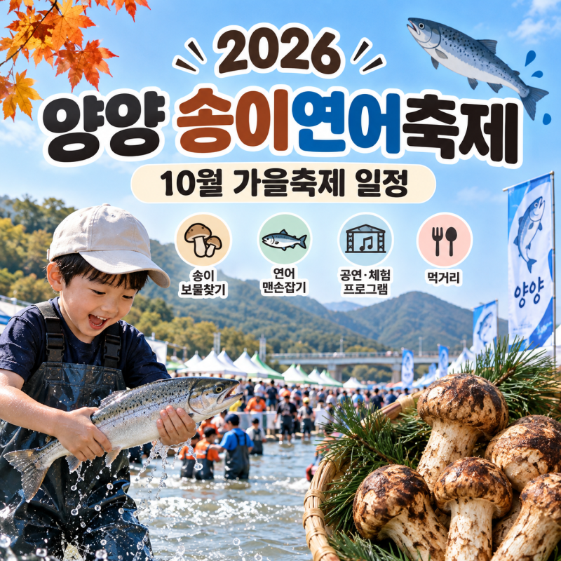 2026 양양 송이연어축제 일정 남대천 가을축제 아이와 가볼만한곳