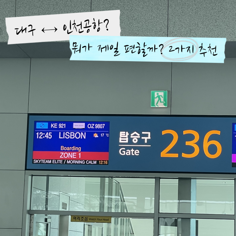 대구에서 인천공항, 인천공항에서 대구 어떻게 가지? 리무진 버스·KTX 직접 탑승한 후기!