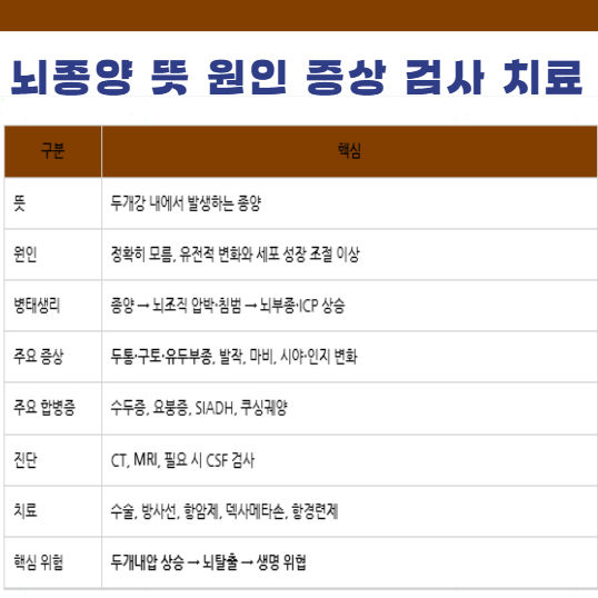 뇌종양 뜻 특성 원인 증상 합병증 진단검사 치료