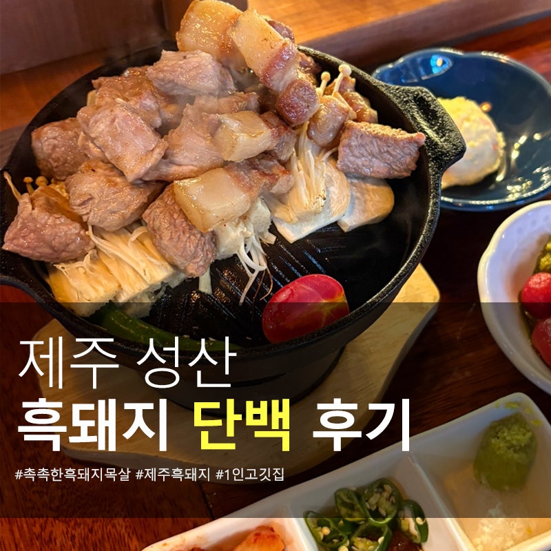 제주 성산 맛집 추천 | 촉촉한 흑돼지 단백 모든 것!(1인화로,혼밥,혼술)