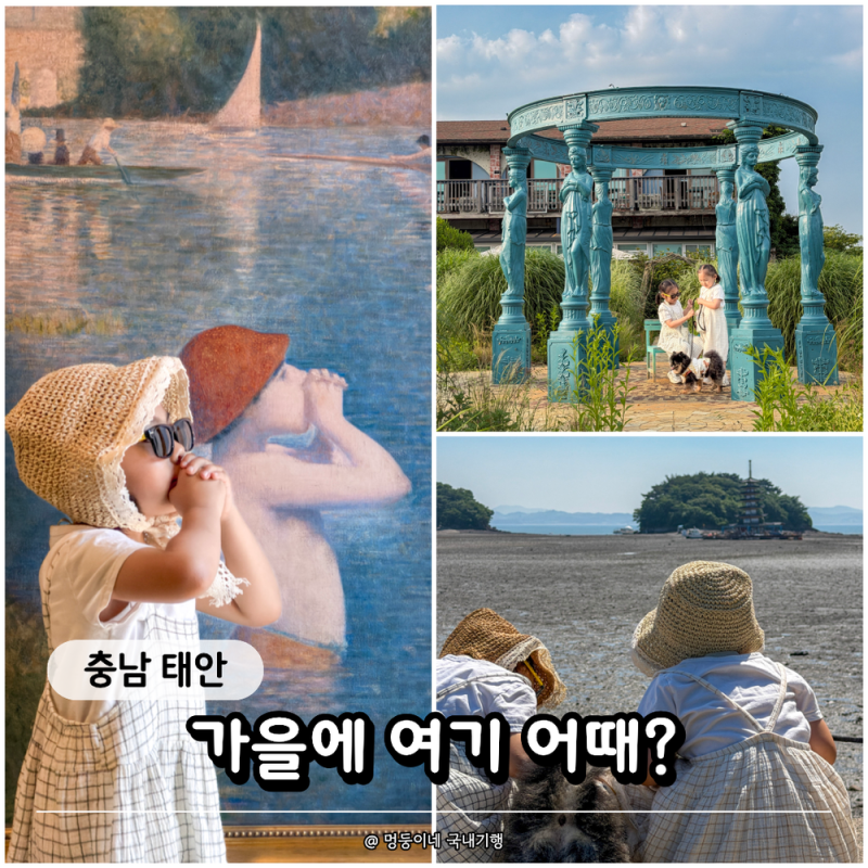 "9월 시작되는 가을 여행 여기 어때?" 태안 애견 동반 아이와 가볼만한 곳 BEST 3