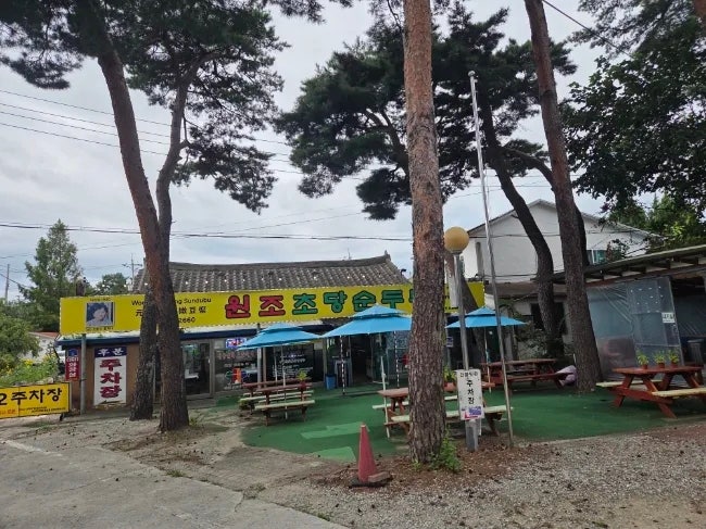 강릉4대째 운영. 전통문화보존의집명인 원조초당순두부 백반.