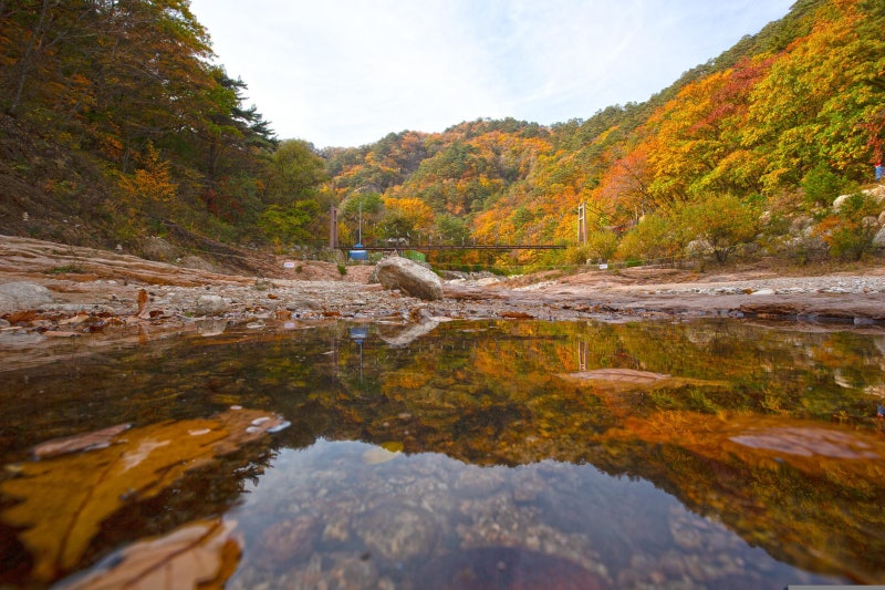 [가을 여행] 설악산 주전골 단풍 코스, 주차, 난이도 및 방문 팁 완벽 정리