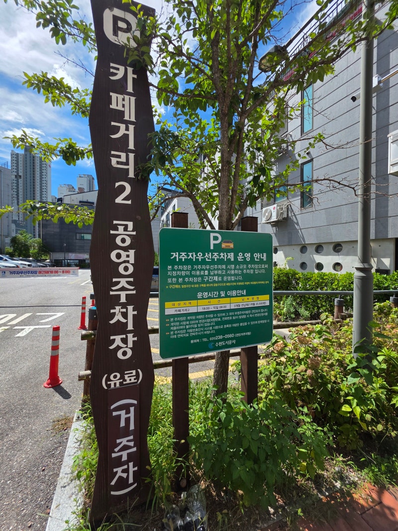 광교에서 아이와 자연속에서 산책하기 좋은 광교중앙공원 유아숲체험원