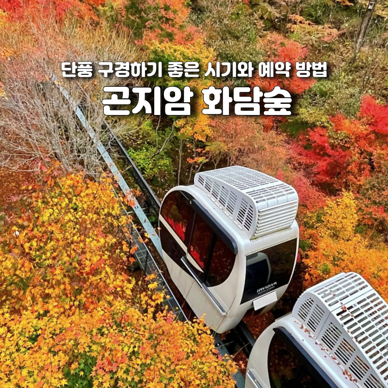 화담숲 예약 단풍 시기 모노레일 리조트 총정리