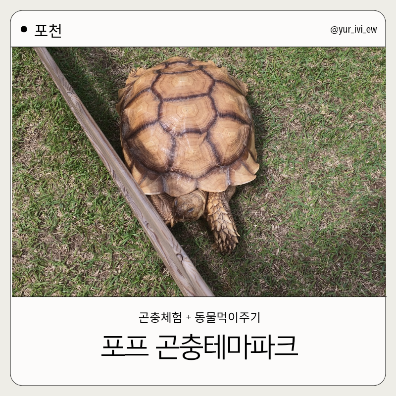 [포천] 주말 아이랑 가볼만한 곳 |포프곤충테마파크| 요금,주차 후기
