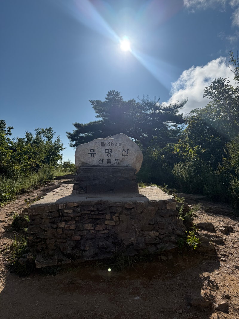유명산 초보등산코스 추천 배너머고개 배너미고개 등산코스