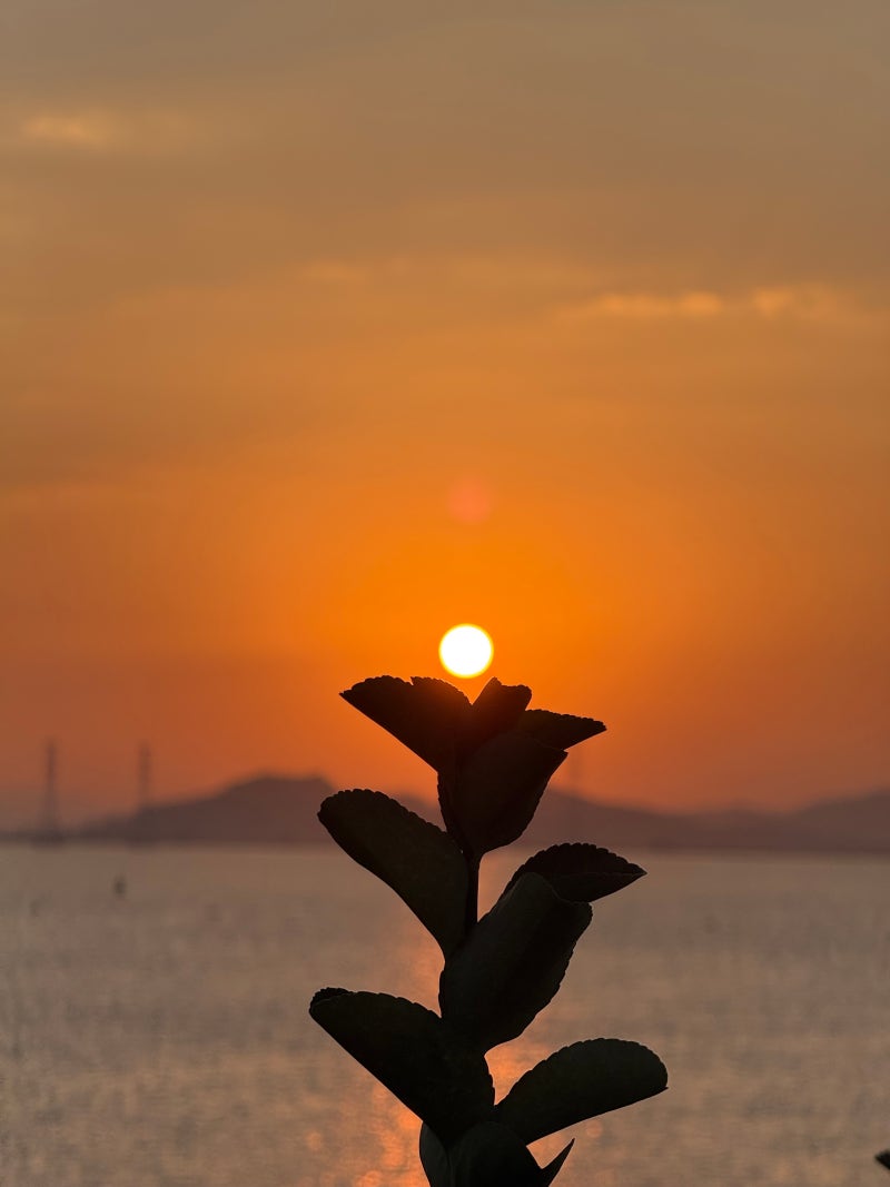 해돋이 보러 동해까지 가지 마세요, 서울-경기 사신다면 여기가 정답입니다