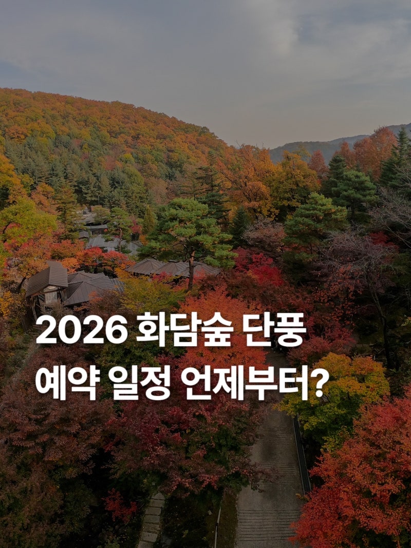 곤지암 화담숲 예약 2026 가을 단풍 예매 일정과 예매 방법 총정리