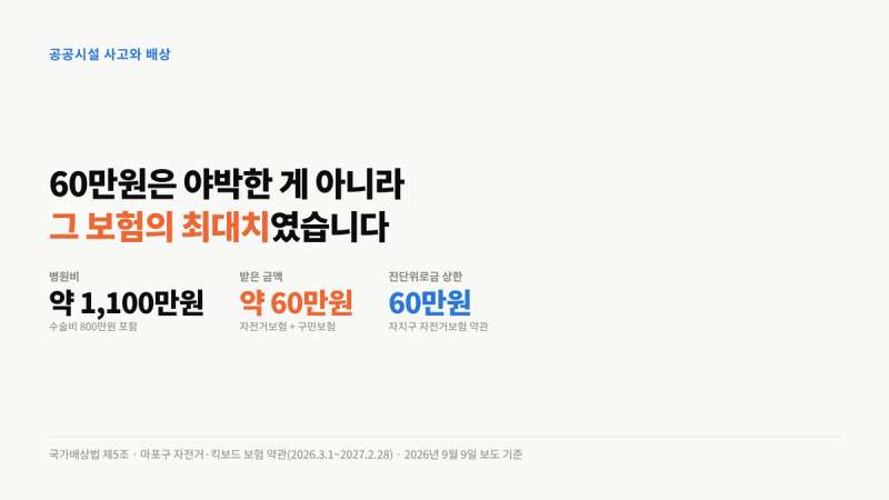 병원비 1,100만원에 받은 보험금은 60만원 — 야박하지만 그 금액이 상한선 (국가배상법 제5조)
