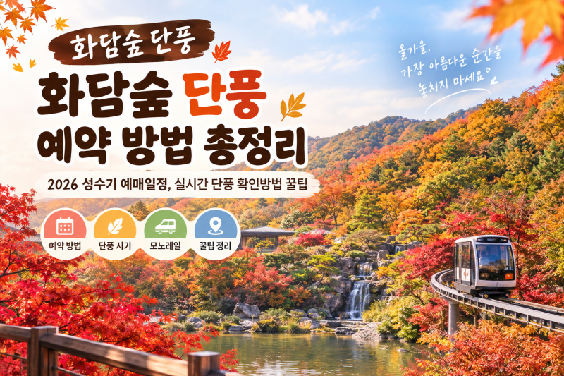 화담숲 단풍 예약 방법 총정리 (2026 성수기 예매일정, 실시간 단풍 확인방법 꿀팁)