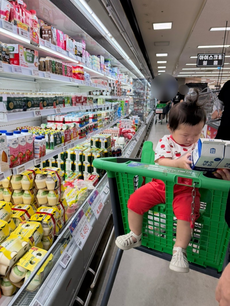 제주 애월 하나로마트 하귀농협 장보기 애월 회 포장 제주 먹거리