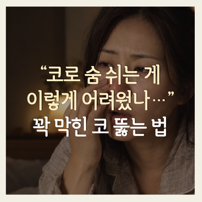 코막힘 답답할 때 코 뚫리는 방법 10가지… 무작정 풀면 더 막힙니다
