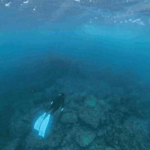 Jeju Dorippal: Freediving, Snorkeling, Parking, Showers, and Real-time Information