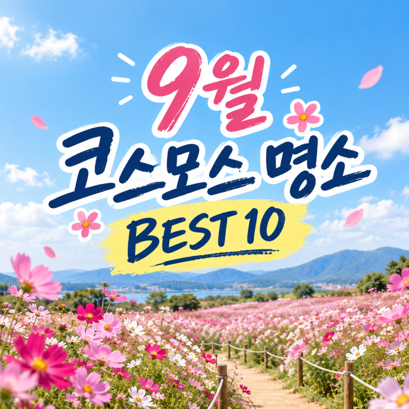 9월 코스모스 명소 BEST 10