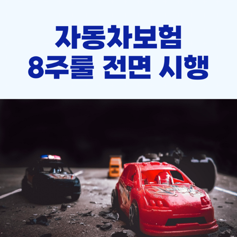 자동차보험, 8주룰 전면 시행!