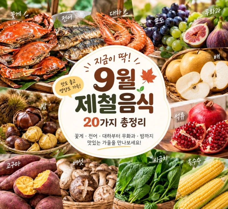 9월 제철음식 20가지 총정리｜꽃게·전어·대하부터 무화과·밤까지