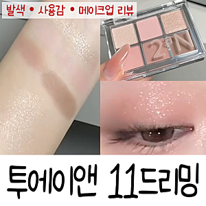 투에이엔 베러 미 아이팔레트 11 드리밍 발색｜밀키 피치 데일리 섀도우 솔직후기