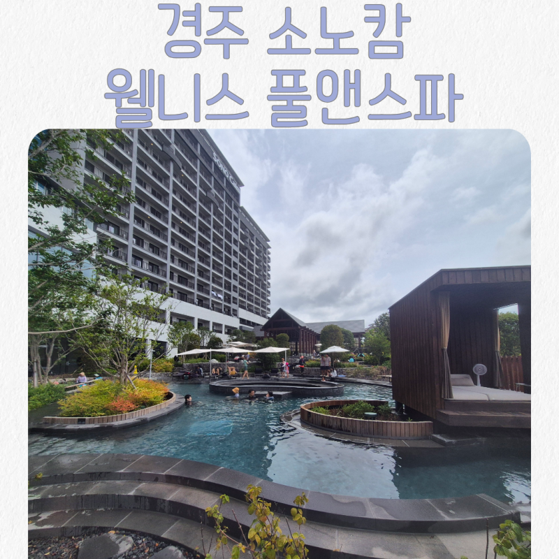 경주 소노캄 웰니스 풀앤스파 수영장 후기 | 아이와 함께 즐기며 힐링한 곳