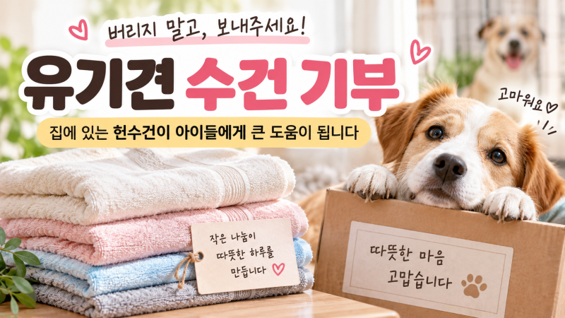 유기견 수건 기부 버리려던 헌수건 보호소에 보내는 방법