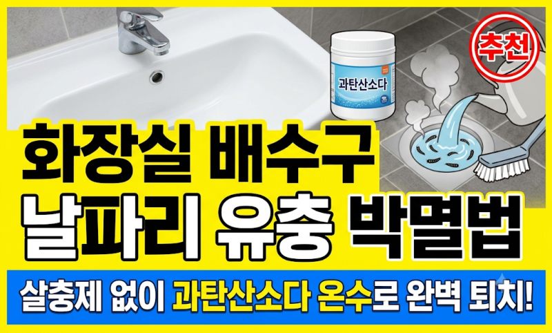 살충제 뿌려도 3일 만에 또 나오는 나방파리 완벽 퇴치하는 60도 세척법