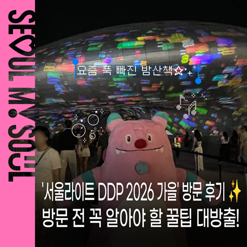 '서울라이트 DDP 2026 가을' 방문 후기 ✨미디어아트 관람 시간·위치·야간 주차장부터 K-푸드....