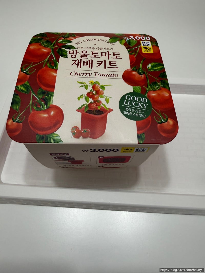 [토마토] 집에서 방울 토마토 키우기 3000원 다이소 방울토마토 재배 키트 | 식물 키우기 초보 ....