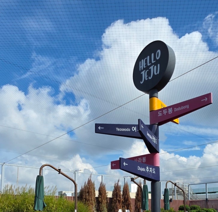 비행기 타기전 꼭 가보세요! 제주공항 가볼만한곳 제주공항 전망대 비행기 샷 포토존 장소