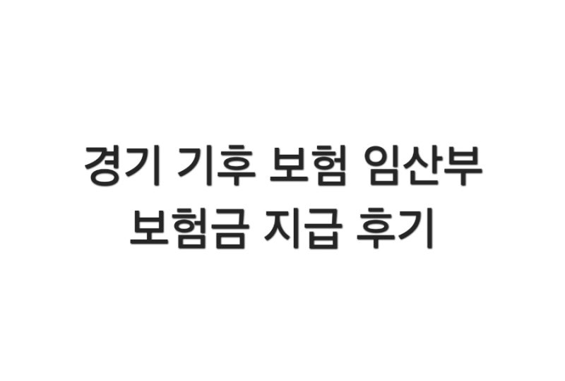 경기 기후 보험 임산부 신청 보험금 지급 후기