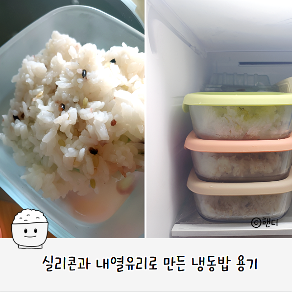 락앤락 바로한끼 내열유리용기 내돈내산 후기