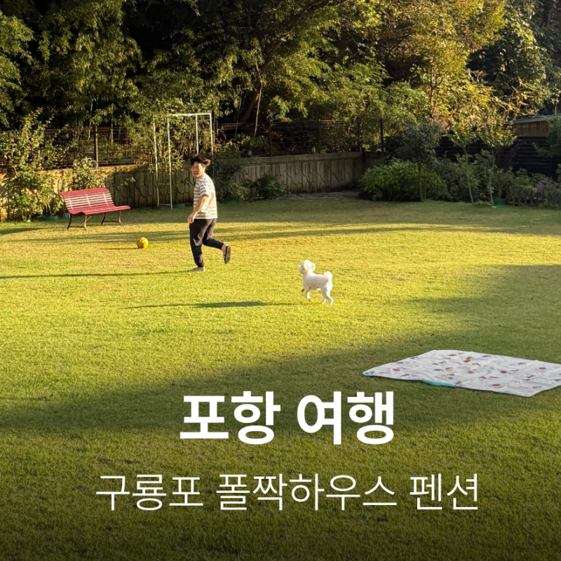 포항 애견 동반 펜션 폴짝 하우스 독채 300평 애견 운동장