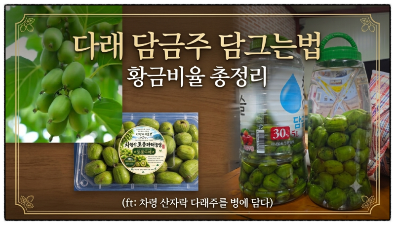 다래 담금주 담그는 법, 황금비율 총정리(ft: 차령 산자락 다래주를 병에 담다)