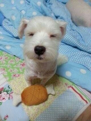 어머니쉬엇음청년어디로가요?오케이감사드리고