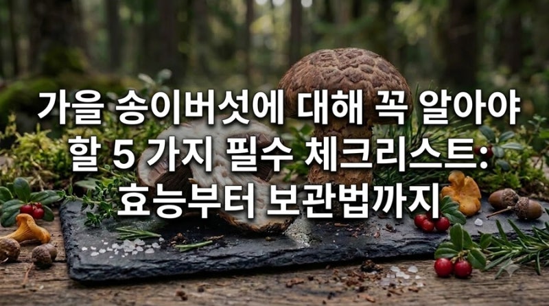 가을 자연산 송이버섯 효능부터 보관까지 꼭 알아야 할 5가지 핵심 체크리스트