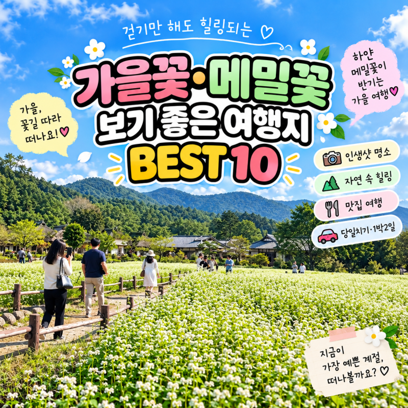 9月韓國國內旅遊｜秋花·蕎麥花最佳觀賞地BEST 10
