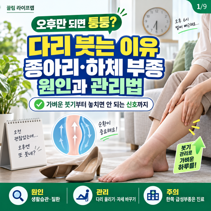 다리가 자꾸 붓는 이유는? 종아리 하체 부종 원인과 관리법