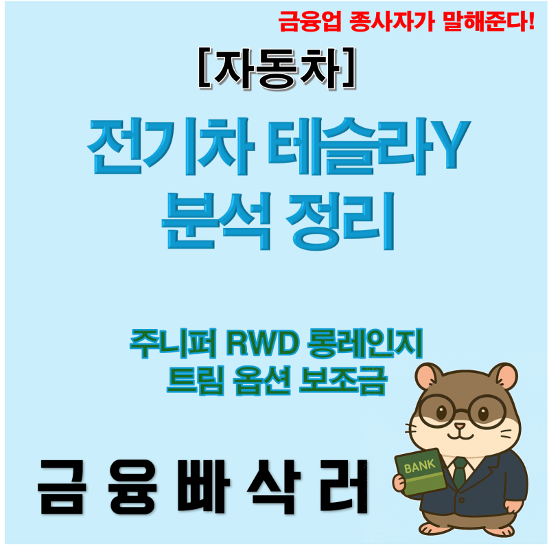 테슬라 모델Y, 가격표만 보면 절대 못 삽니다