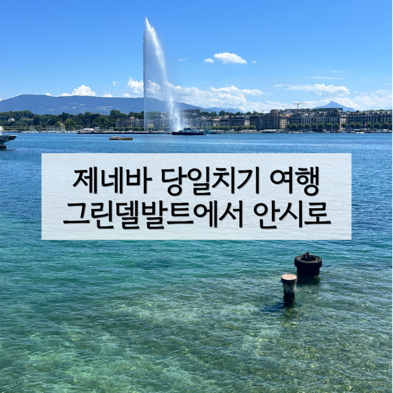 제네바 여행 당일치기 코스 제네바역 코인 락커 정보 | 그린델발트에서 안시로