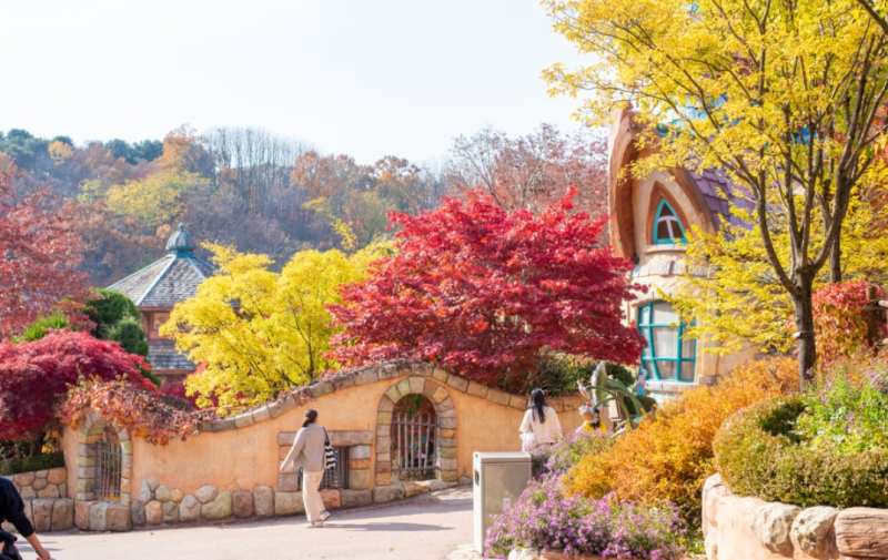 용인 단풍 명소 5곳, 무료부터 야간까지 딱 정리했어요.