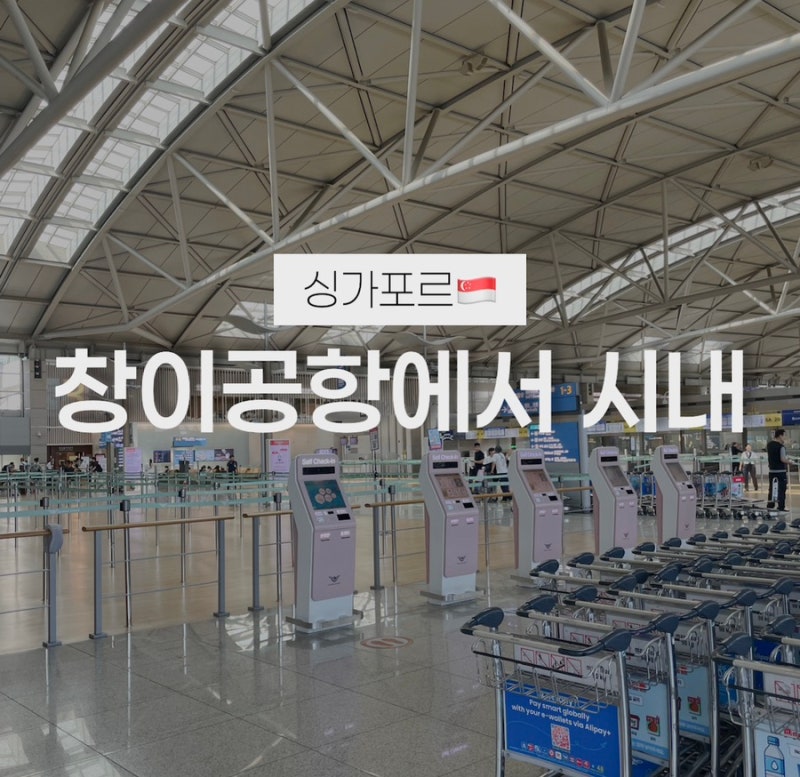 싱가포르 공항에서 시내 이동! 창이공항 터미널4에서 그랩으로 이동하기(그랩 탑승장소, 할....