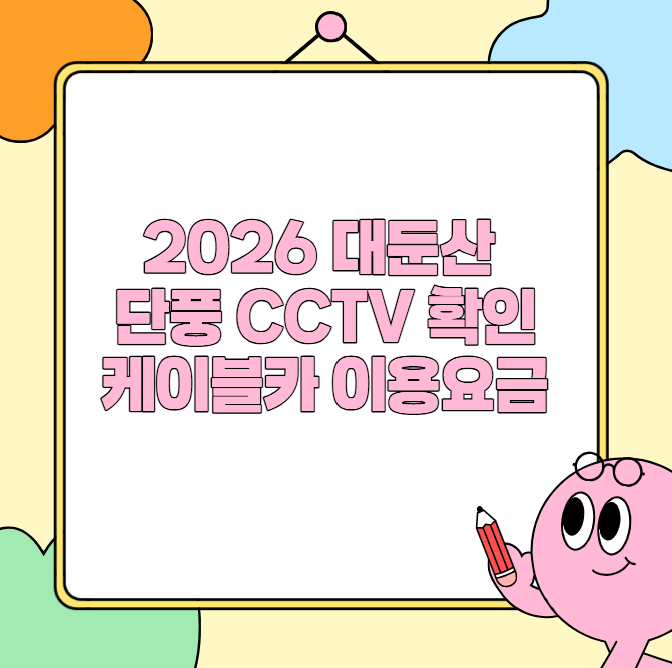 2026 대둔산 단풍 CCTV 케이블카 이용요금 확인