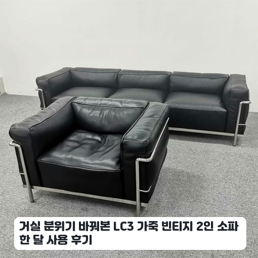 거실 인테리어로 배치한 빈티지 LC3 소파 일주일 후기