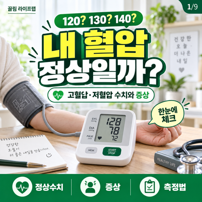 내 혈압은 정상일까? 고혈압 저혈압 수치와 증상