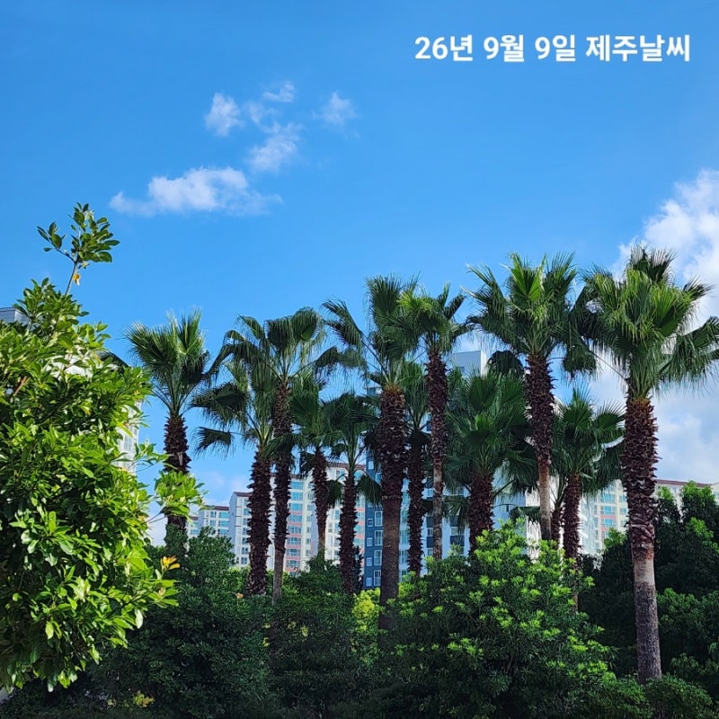 9월 9일 수요일 제주도 날씨 서귀포 실시간 옷차림 추천 맑고 쾌청한 가을 볕 한라산 주간예....